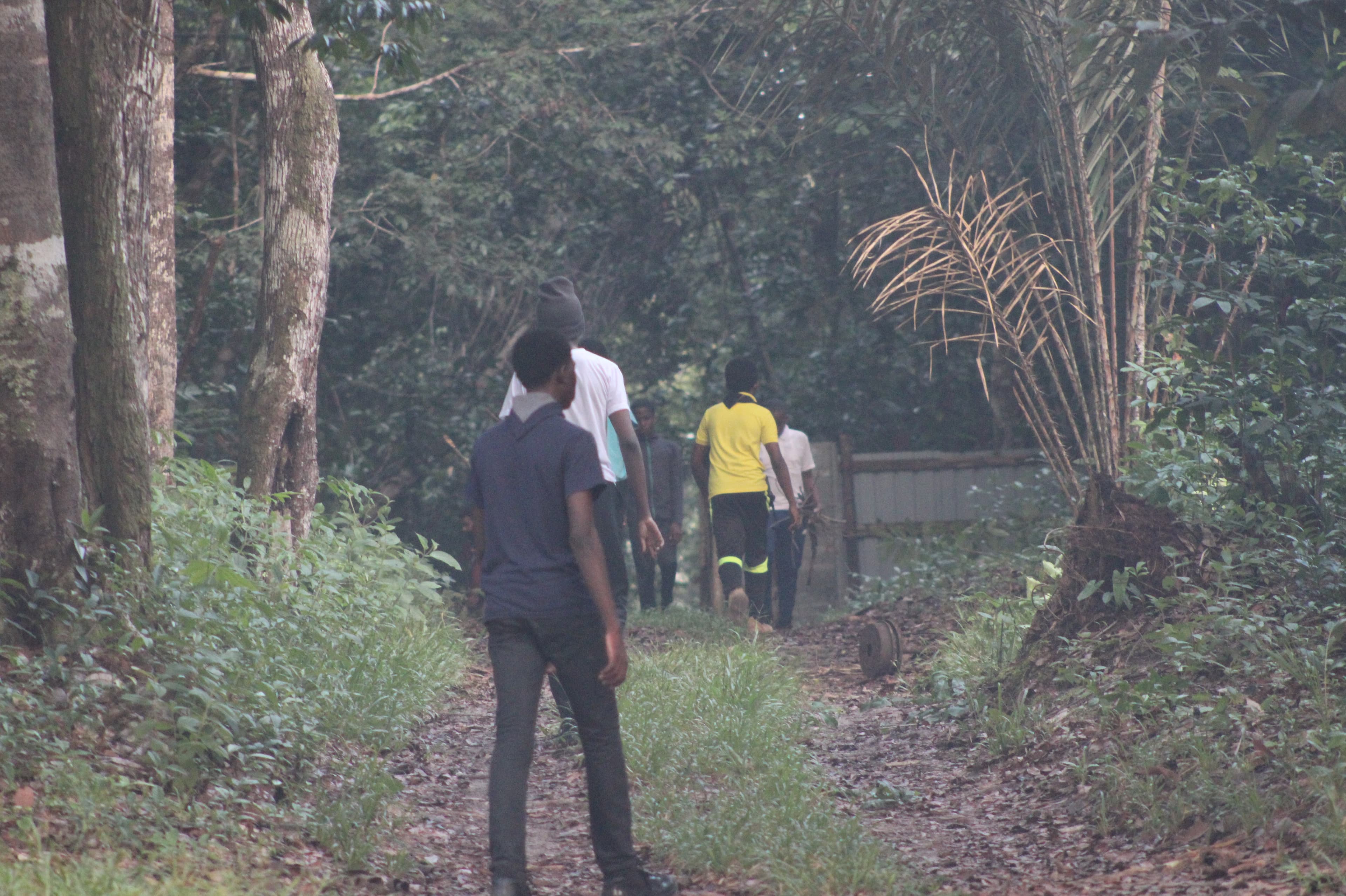 The Scout's Guide to Digital Detox